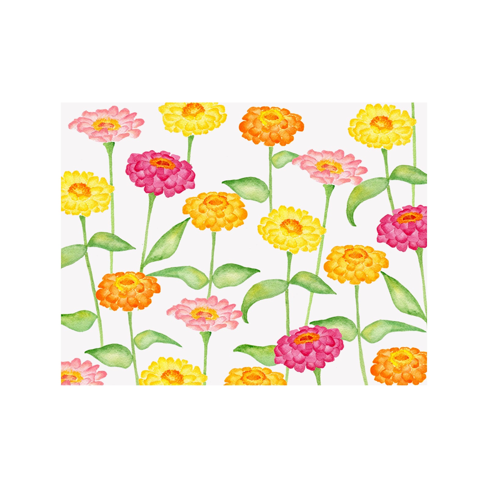 Zinnia Note Cards
